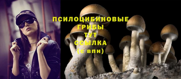 гашик Алзамай