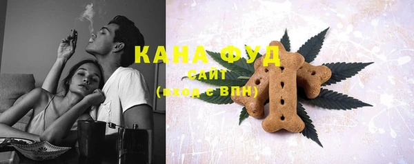 гашик Алзамай