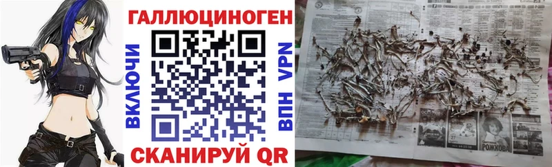 Псилоцибиновые грибы ЛСД Байкальск